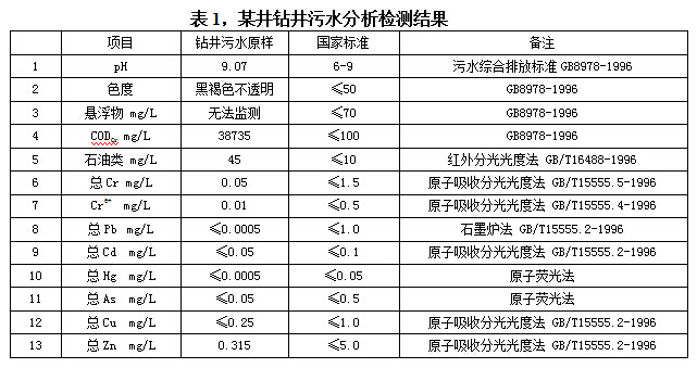 某井钻井污水分(fēn)析检测结果